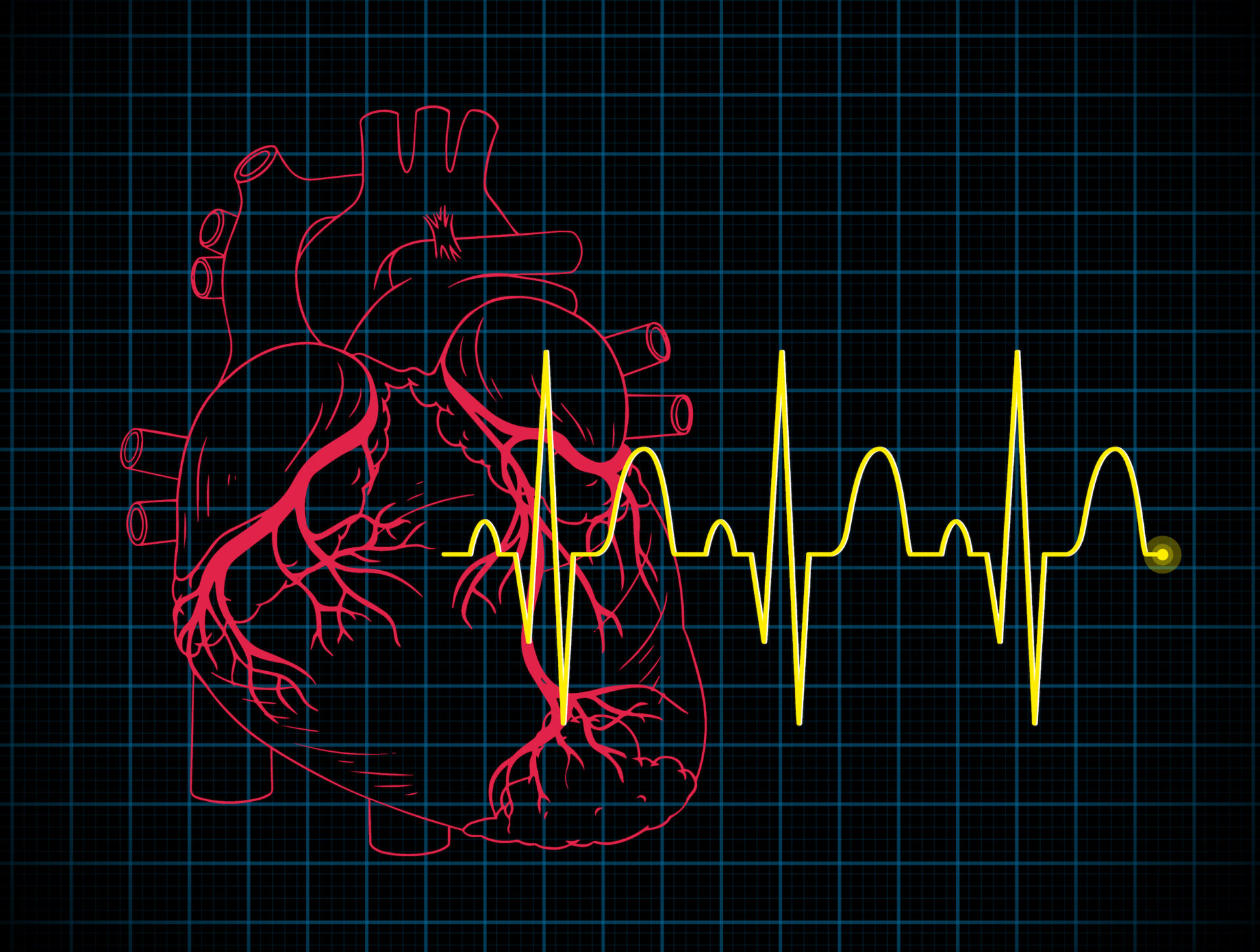 Heartbeat with heart rate graph  illustration